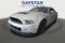 2014 Ford Shelby GT500 Shelby GT500